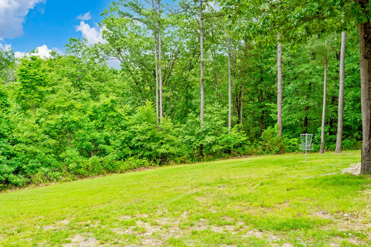 Set amidst lush green foliage and tall trees, this image centers on a disc golf basket, representing one of the recreational activities available within the micro-community. The natural setting is tranquil, inviting guests to enjoy outdoor games and peaceful walks.